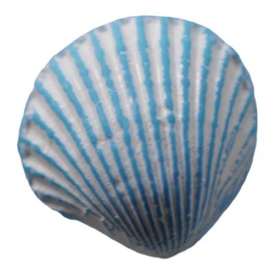 浅蓝底白色线条立体贝壳造型纽扣