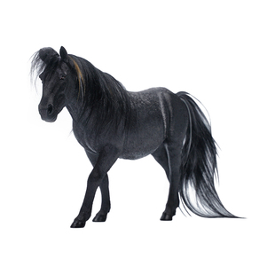 JXK 1/6 蒙古马 仿真动物骏马马具模型树脂摆件潮玩搭配GK兵人偶