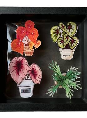 龟背竹绿植热植周边冰箱贴ins盆栽文创家居装饰亚克力磁吸小物件