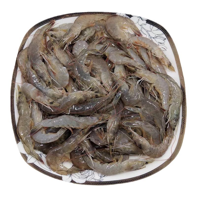 淡水小虾水库放养湖水虾现捕现捞净重无冰可油炸小炒商用发顺丰