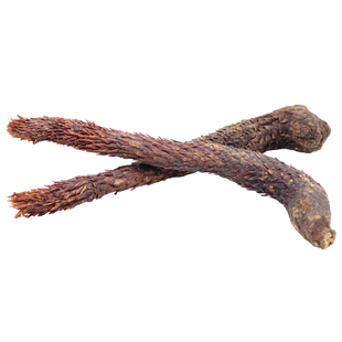 肉苁蓉整根阿拉善肉苁蓉切片内蒙古油性肉苁蓉沙漠人参泡茶泡酒