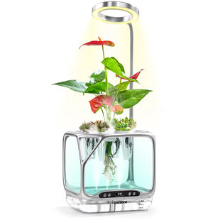 得士美izestee雾化培植器桌面无土栽培全程可视智能DIY小森林氧吧