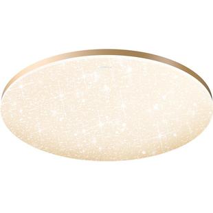 欧普照明led吸顶灯现代简约卧室儿童房护眼圆形满天星新款