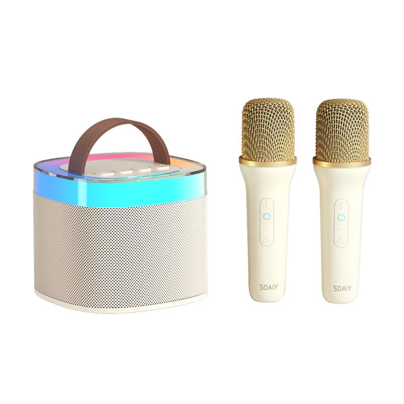 索爱SK2蓝牙音箱家用k歌音响儿童话筒麦克风户外唱歌小型家庭ktv