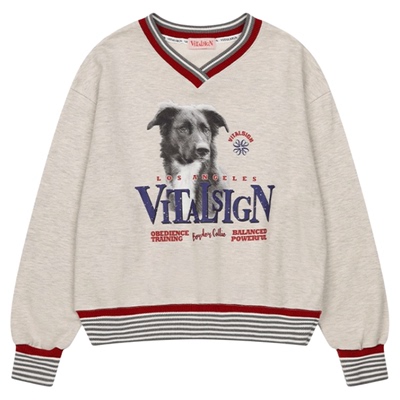 VitalSign撞色运动卡通女生卫衣