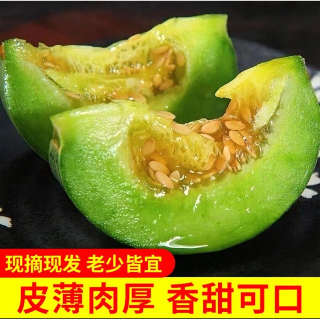 正宗头茬绿宝甜瓜脆甜多汁现摘香甜新鲜应季水果香瓜玉菇鲜果直发
