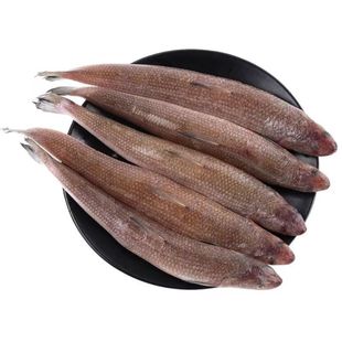 新鲜海杂鱼鲜活深海鱼大杂烩黄鱼鲳鱼鳗鱼小梭鱼红头鱼等随机5斤