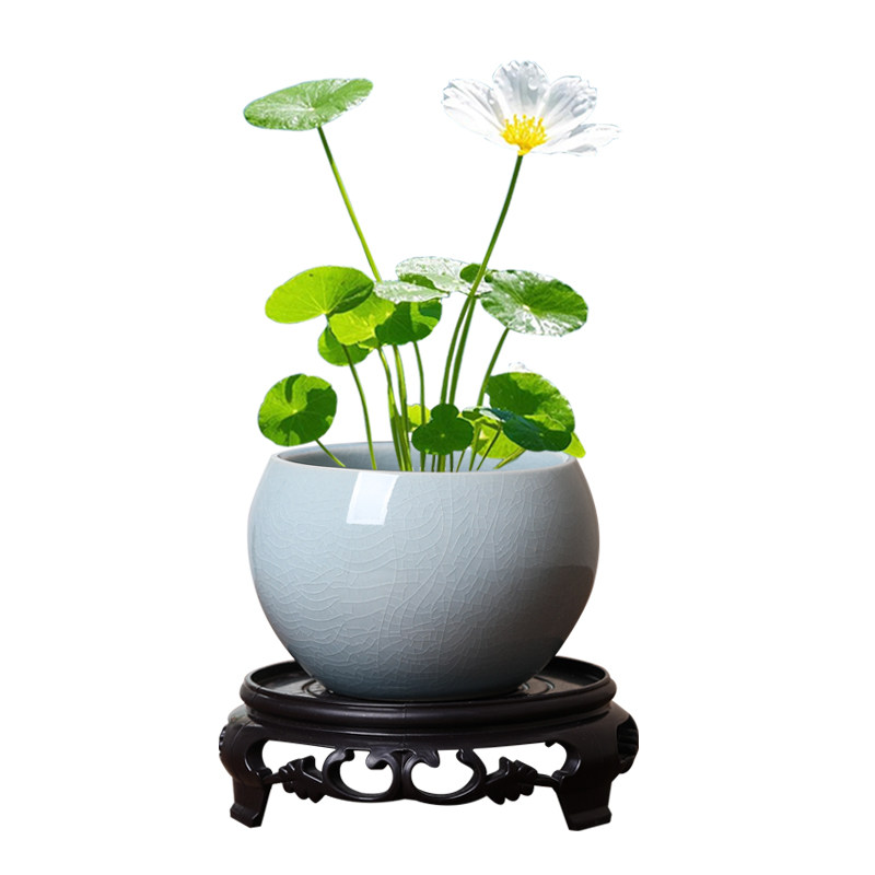 陶瓷哥窑开片陶瓷水培小花盆无孔花钵绿植容器小清新桌面花器清仓