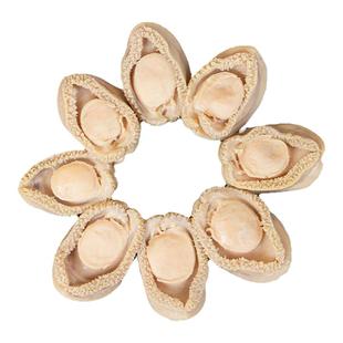 香港上环安记南非清汤鲍鱼捞饭宴席吉品鲍佛跳墙南非鲍425g6只