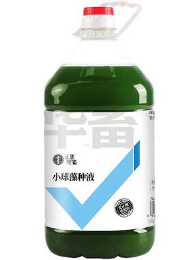 华畜小球藻藻种5L装低至23.5/桶