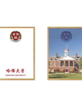 名牌大学周边灯光画logo名校学院定制校园学校文化墙装饰画小夜灯