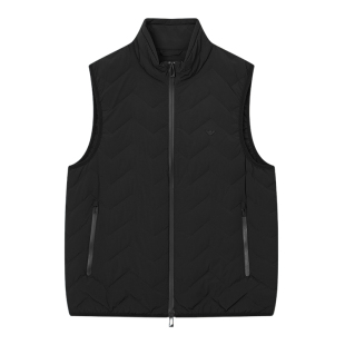 Armani/阿玛尼EA 男士鹰标保暖羽绒服背心外套 EM004946 AF18499