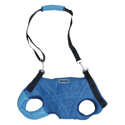 Blueport介护包辅助出行