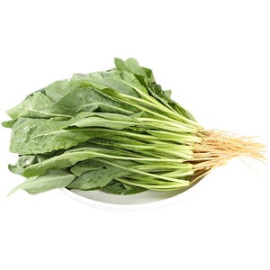 【现货】新鲜板蓝根1斤装 云南当季时令蔬菜带根板蓝根叶野菜包邮