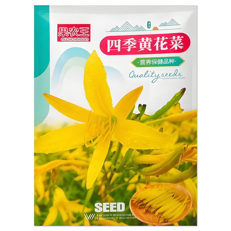 四季黄花菜种子蔬菜种子