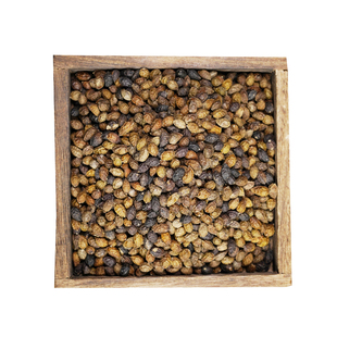 中药材 鸦胆子 中药饮片中药材抓配实体店铺药房【饮片标准】500g