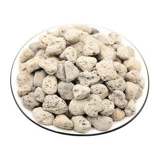 浮海石中药材500g克正宗干货水花浮海石块水洗浮海石水泡石大海石