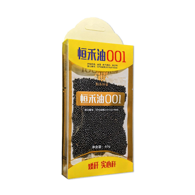 恒禾油001油菜种子杂交甘蓝型