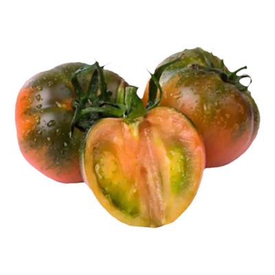 丹东油柿子铁皮绿腚草莓鹰爪