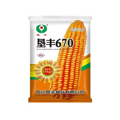 云贵川高产玉米种子垦丰670适应区域中高海拔1000-2400米包邮