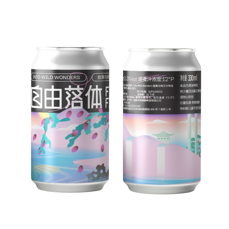 道酿啤酒 自由落体烟熏乌梅微醺酒果味酒低酒精度艾尔精酿啤酒