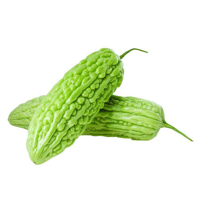 苦瓜高产阳台盆栽蔬菜种子