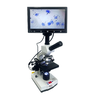 倍特双显微镜兽用恒温显微镜专业看精子测排卵高倍观察精子细胞