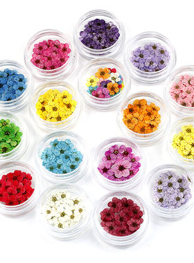 diy干花真花美甲滴胶手机壳材料
