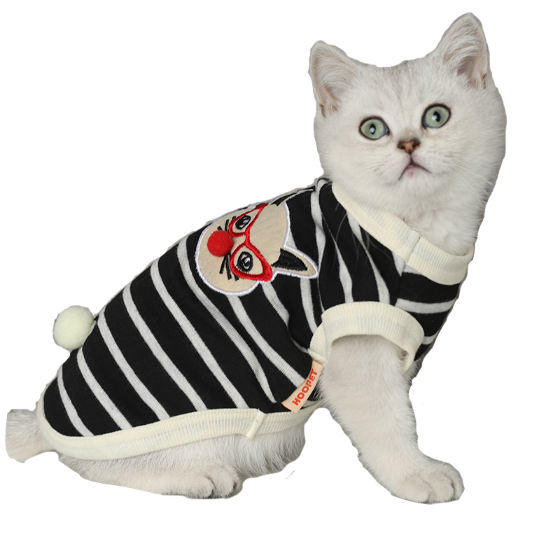 猫咪衣服薄款公猫蓝猫美短男宠物小猫夏天猫猫夏季帅气防掉毛背心