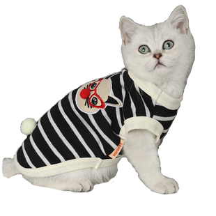 猫咪衣服薄款公猫蓝猫美短男宠物小猫夏天猫猫夏季帅气防掉毛背心