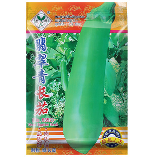 四季盆栽高产老品种绿色长茄子种子春夏秋冬绿翡翠茄种籽茄蔬菜苗