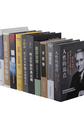 办公室中文新中式假书书房书柜