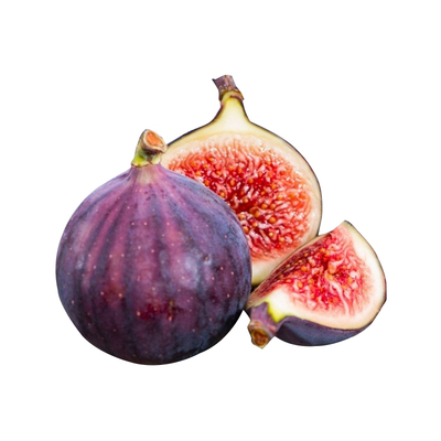 天狼月季无花果盆栽阳台庭院