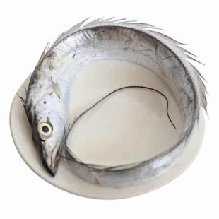 大连海鲜渤海湾刀鱼小眼带鱼顺丰发货