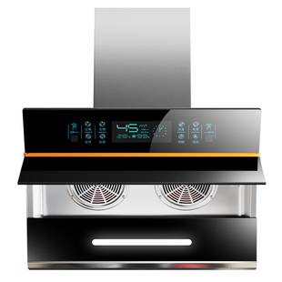 樱花油烟机家用厨房侧吸油机大吸力抽烟机双电机油烟机燃气灶套餐