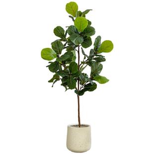 仿真绿植假绿植树盆景大型落地仿生植物摆件高端轻奢天堂鸟南天竹