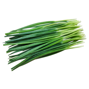 东北小葱新鲜蔬菜蘸酱葱现摘嫩芽香葱白饭包菜小葱苗带根农家当季