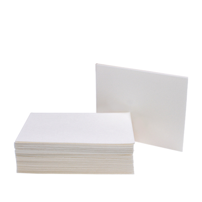 wb转印滤纸转膜滤纸westernblot