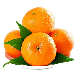 广西武鸣沃柑新鲜水果当季整箱时令10沙糖斤蜜橘砂糖柑橘桔子橘5