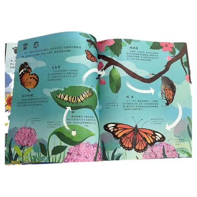 DK窥探大自然科学启蒙认知绘本