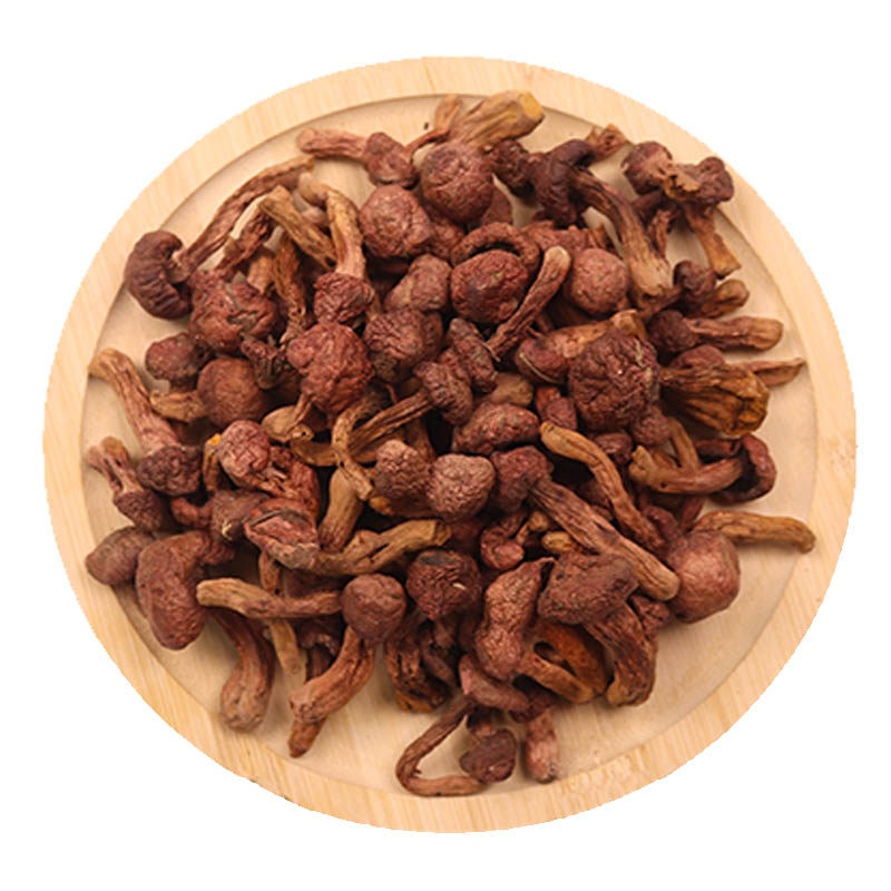 野生红蘑丁肉蘑菇野生菌东北特产红松伞蘑菇包邮干货炖炒煲汤小个