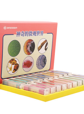 德国动植物细胞儿童学生标本切片
