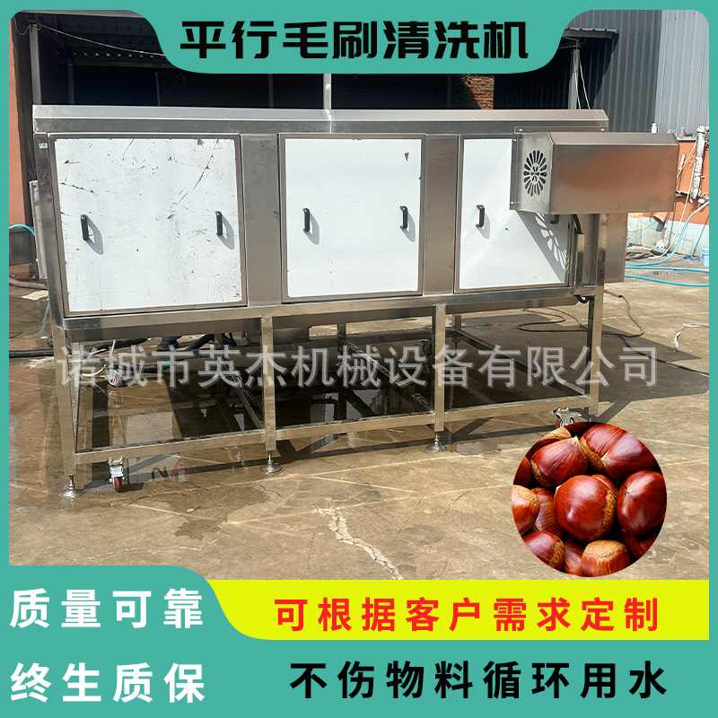 商用栗子平行毛辊机 板栗平行毛辊清洗机 高压喷喷毛刷清洗清洗