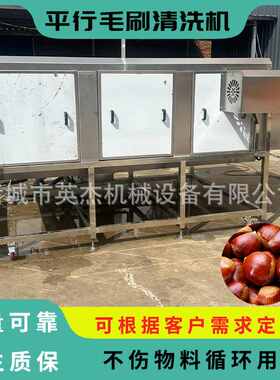 商用栗子平行毛辊机 板栗平行毛辊清洗机 高压喷喷毛刷清洗清洗