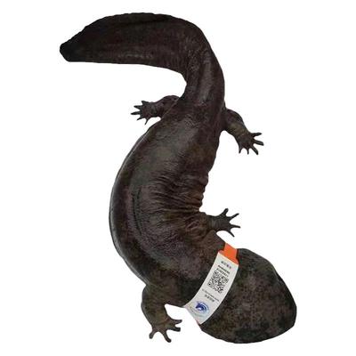 15斤汉中娃娃鱼水源养殖鲜活