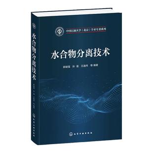 水合物分离技术 郭绪强 水合物研究基础 水合法用于不同混合物体系分离过程的具体实验和模拟计算 天然气水合物相关研究人员参考书