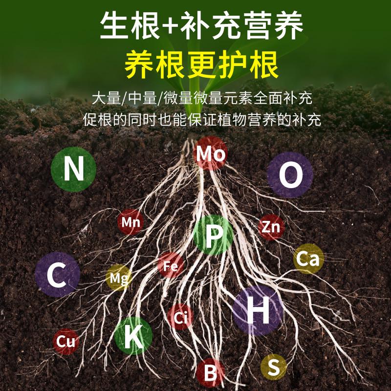 生根粉快速生根植物通用树木移栽扦插专用强力生根粉生根剂生根液