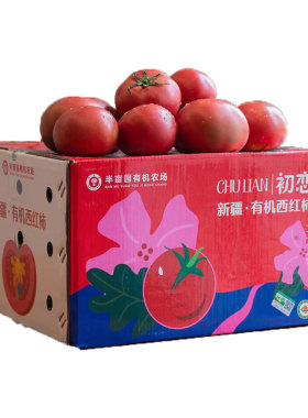 新疆半亩园初恋有机西红柿现摘