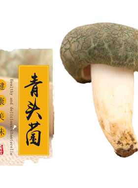 哈妞500g特级非干货新鲜野生菌