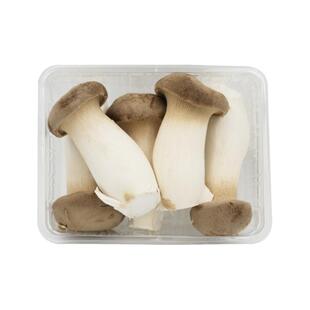 杏鲍菇鸡腿菇 火锅食材双拼 鲜嫩菌菇 新鲜蔬菜 顺丰发货基地直发